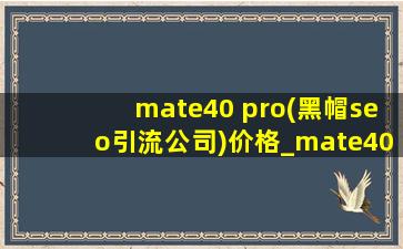 mate40 pro(黑帽seo引流公司)价格_mate40 pro(黑帽seo引流公司)价格4g